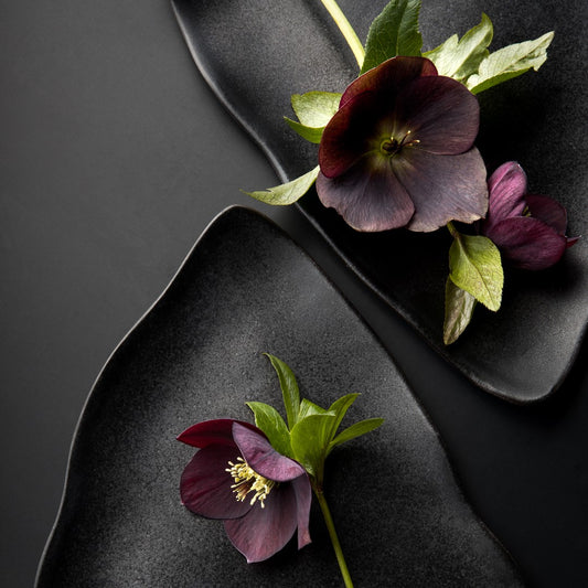 Krožniki Angela Črni mat